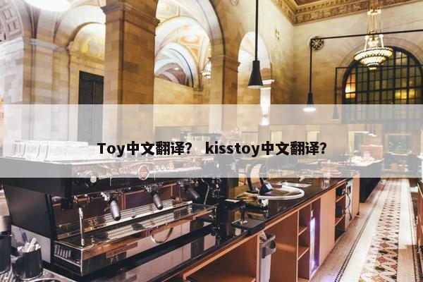 Toy中文翻译？ kisstoy中文翻译？