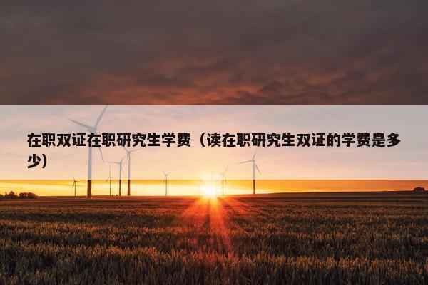 在职双证在职研究生学费（读在职研究生双证的学费是多少）
