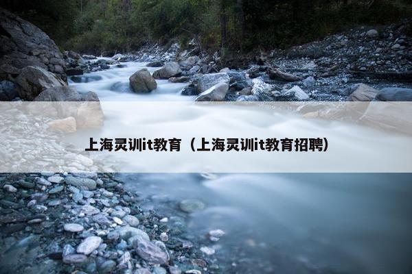 上海灵训it教育（上海灵训it教育招聘）