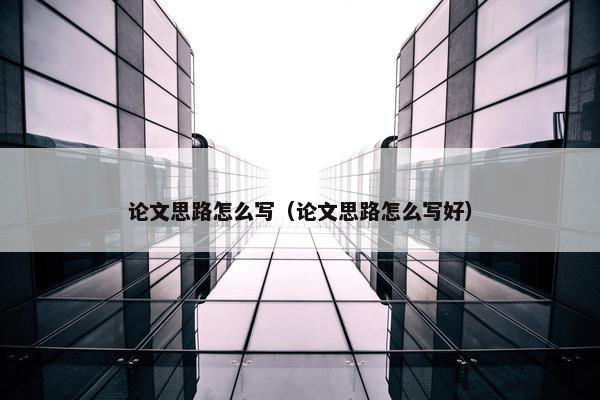 论文思路怎么写（论文思路怎么写好）