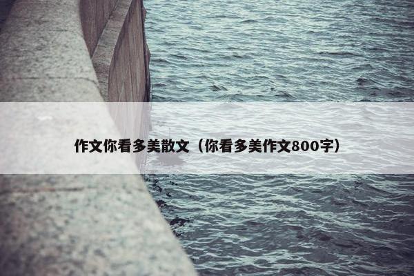 作文你看多美散文（你看多美作文800字）