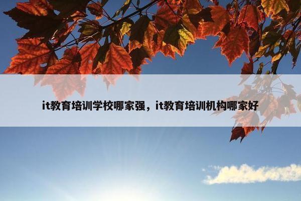 it教育培训学校哪家强，it教育培训机构哪家好