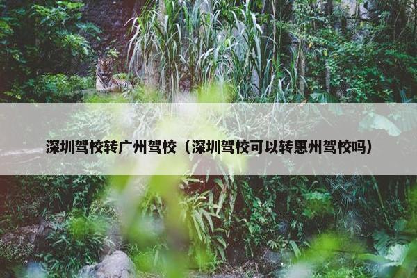 深圳驾校转广州驾校（深圳驾校可以转惠州驾校吗）