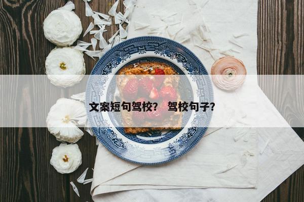 文案短句驾校？ 驾校句子？