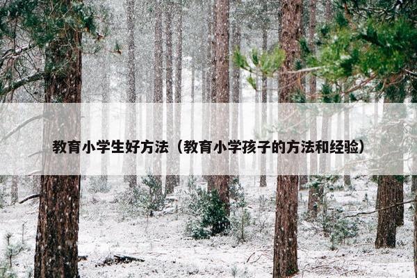 教育小学生好方法（教育小学孩子的方法和经验）