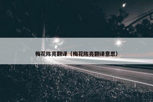 梅花陈亮翻译（梅花陈亮翻译意思）