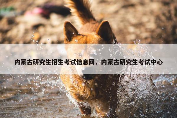 内蒙古研究生招生考试信息网，内蒙古研究生考试中心