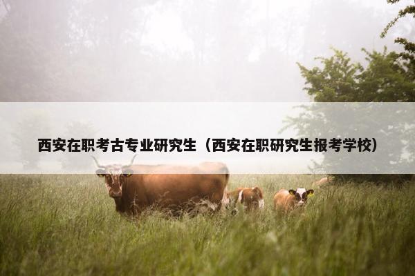 西安在职考古专业研究生（西安在职研究生报考学校）