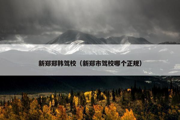 新郑郑韩驾校（新郑市驾校哪个正规）