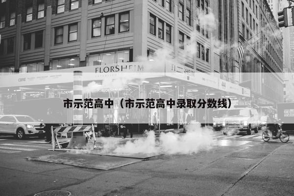 市示范高中（市示范高中录取分数线）
