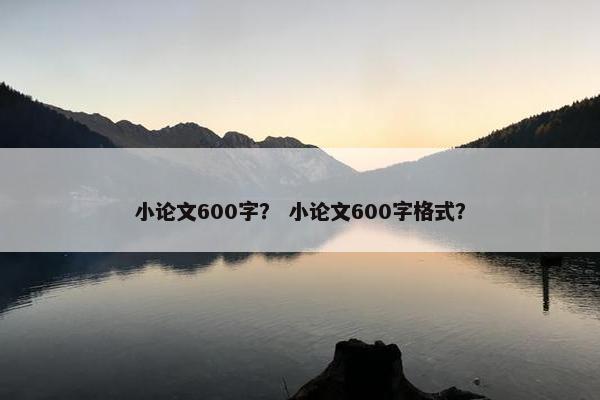 小论文600字？ 小论文600字格式？