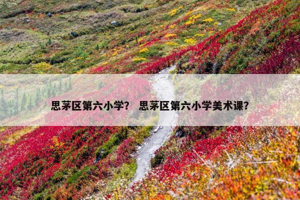 思茅区第六小学？ 思茅区第六小学美术课？