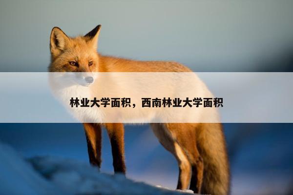 林业大学面积，西南林业大学面积