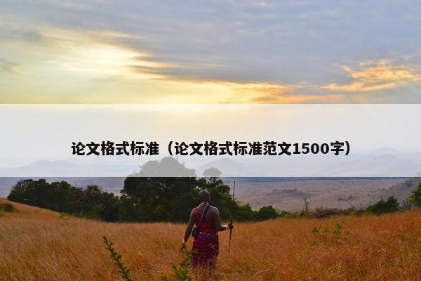 论文格式标准（论文格式标准范文1500字）