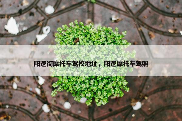 阳逻街摩托车驾校地址，阳逻摩托车驾照
