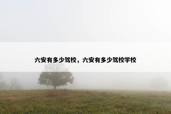 六安有多少驾校，六安有多少驾校学校