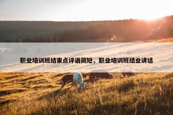 职业培训班结束点评语简短，职业培训班结业讲话