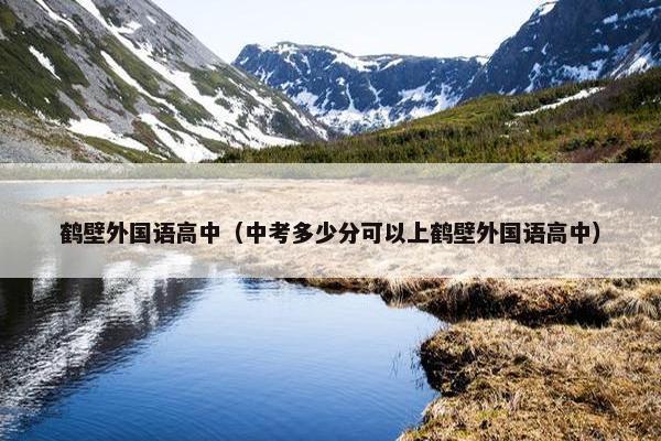 鹤壁外国语高中（中考多少分可以上鹤壁外国语高中）