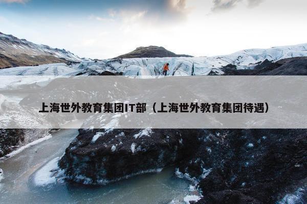 上海世外教育集团IT部（上海世外教育集团待遇）