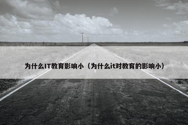 为什么IT教育影响小（为什么it对教育的影响小）