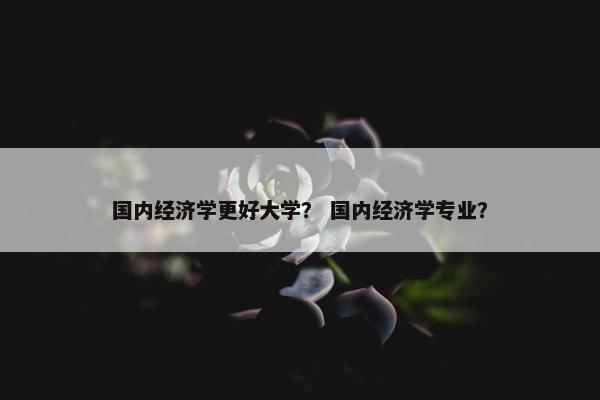 国内经济学更好大学？ 国内经济学专业？