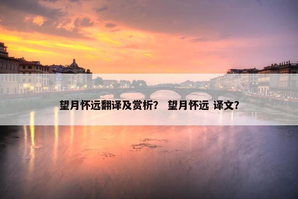 望月怀远翻译及赏析？ 望月怀远 译文？
