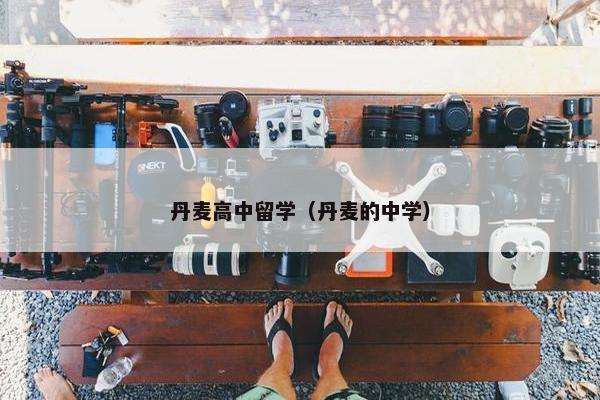 丹麦高中留学（丹麦的中学）