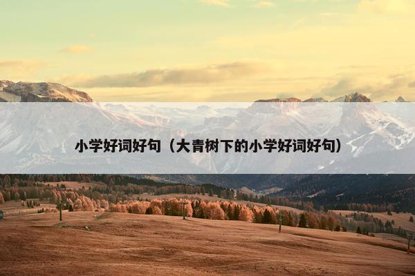 小学好词好句（大青树下的小学好词好句）