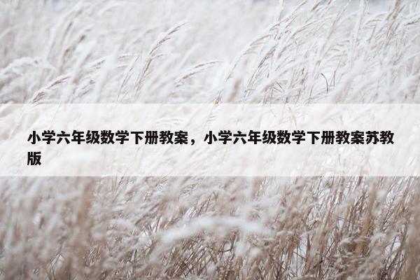 小学六年级数学下册教案，小学六年级数学下册教案苏教版