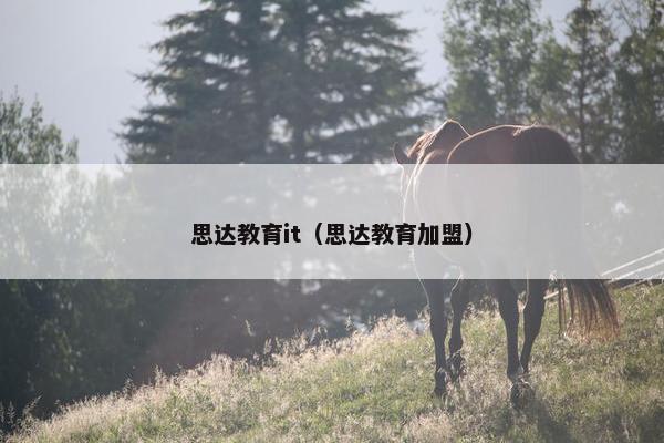思达教育it（思达教育加盟）