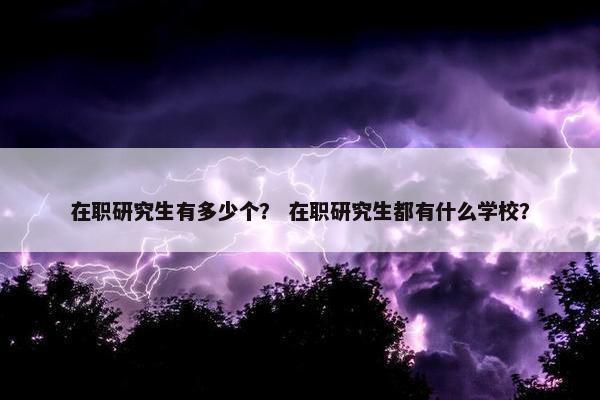 在职研究生有多少个？ 在职研究生都有什么学校？