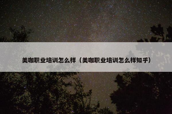 美咖职业培训怎么样（美咖职业培训怎么样知乎）