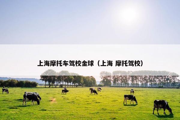 上海摩托车驾校金球（上海 摩托驾校）