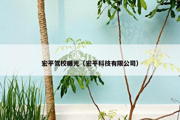 宏平驾校曝光（宏平科技有限公司）