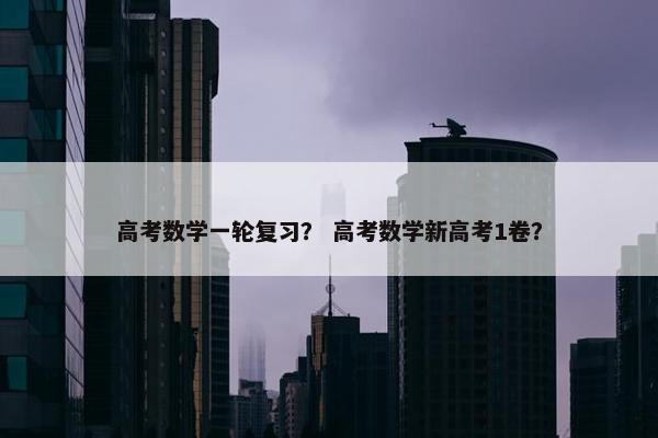 高考数学一轮复习？ 高考数学新高考1卷？