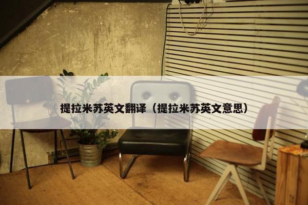 提拉米苏英文翻译（提拉米苏英文意思）