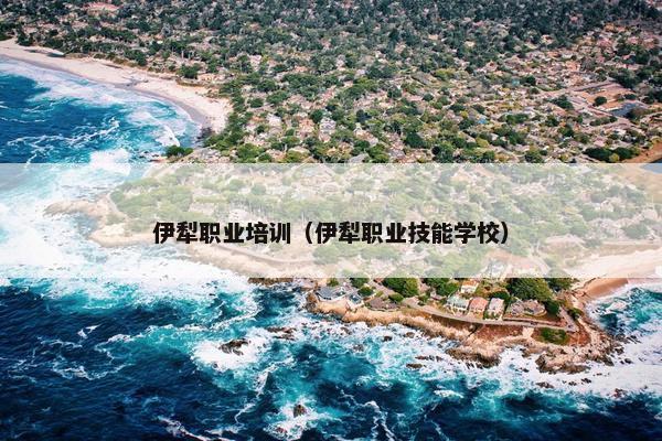 伊犁职业培训（伊犁职业技能学校）