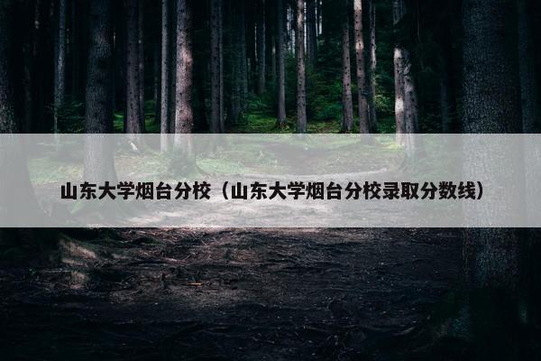 山东大学烟台分校（山东大学烟台分校录取分数线）