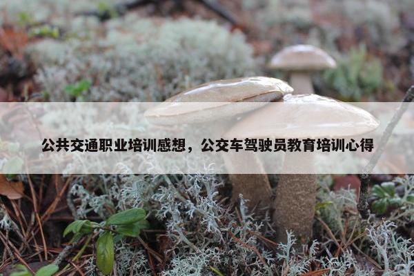 公共交通职业培训感想，公交车驾驶员教育培训心得