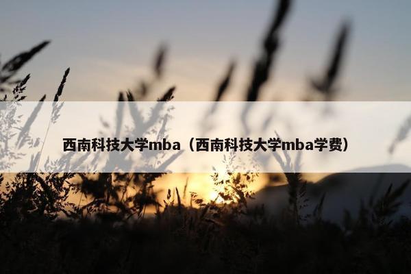 西南科技大学mba（西南科技大学mba学费）