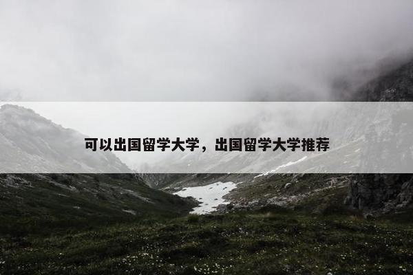 可以出国留学大学，出国留学大学推荐