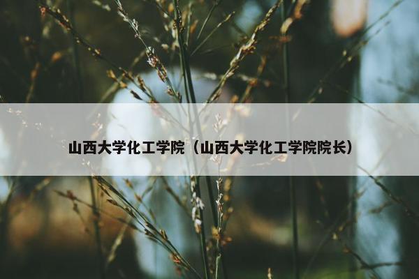 山西大学化工学院（山西大学化工学院院长）