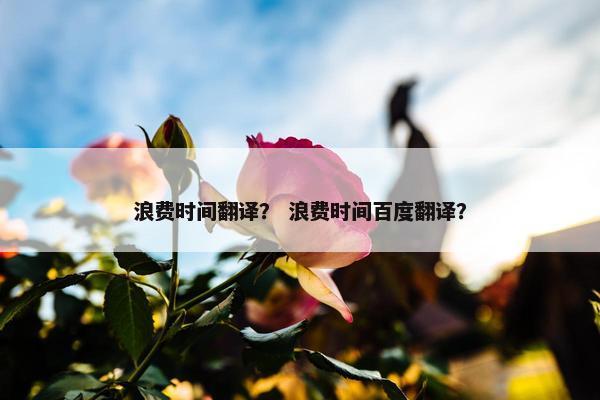 浪费时间翻译？ 浪费时间百度翻译？