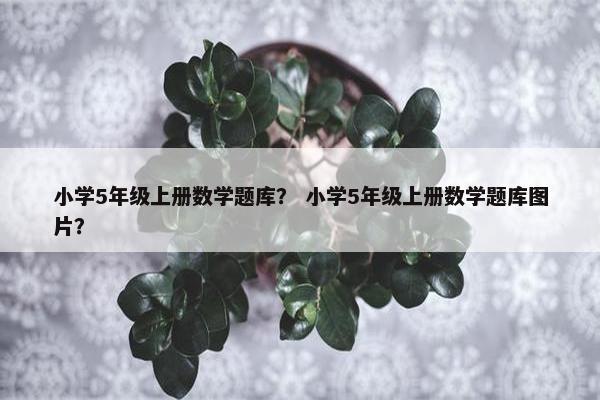 小学5年级上册数学题库？ 小学5年级上册数学题库图片？