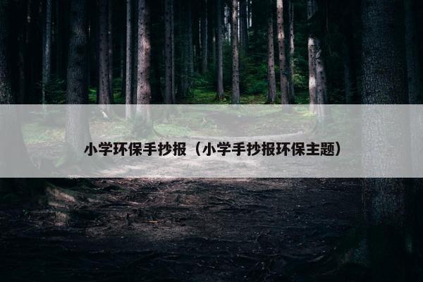 小学环保手抄报（小学手抄报环保主题）
