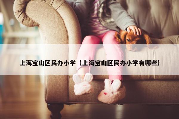 上海宝山区民办小学（上海宝山区民办小学有哪些）
