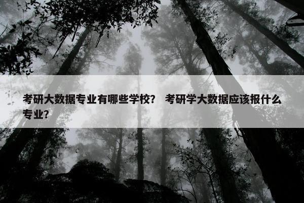 考研大数据专业有哪些学校？ 考研学大数据应该报什么专业？