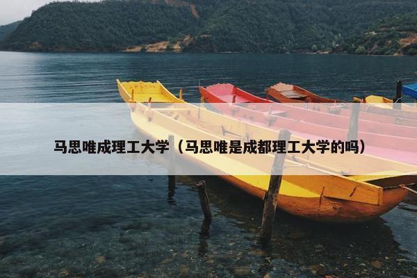 马思唯成理工大学（马思唯是成都理工大学的吗）