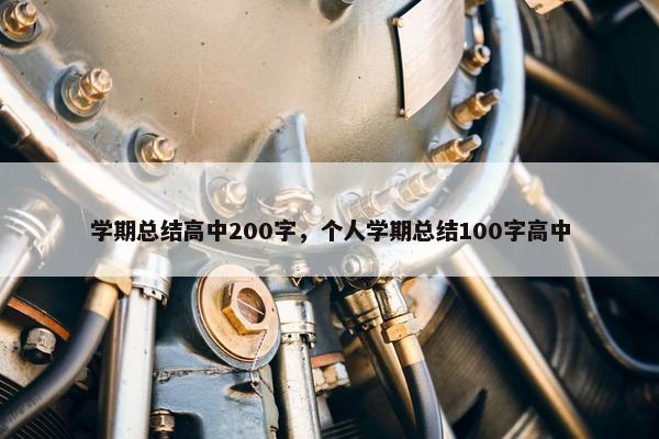 学期总结高中200字，个人学期总结100字高中