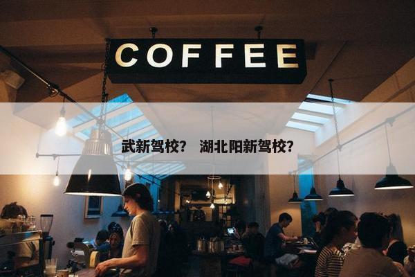 武新驾校？ 湖北阳新驾校？